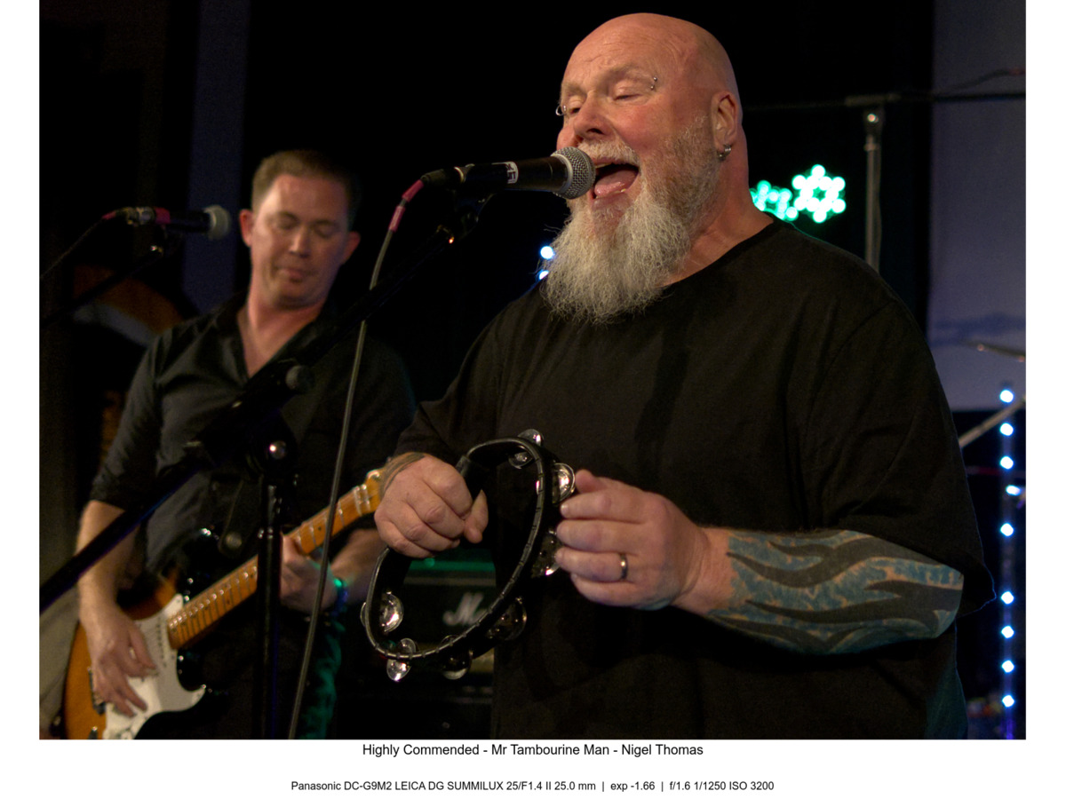 Highly Commended - Mr Tambourine Man - Nigel Thomas