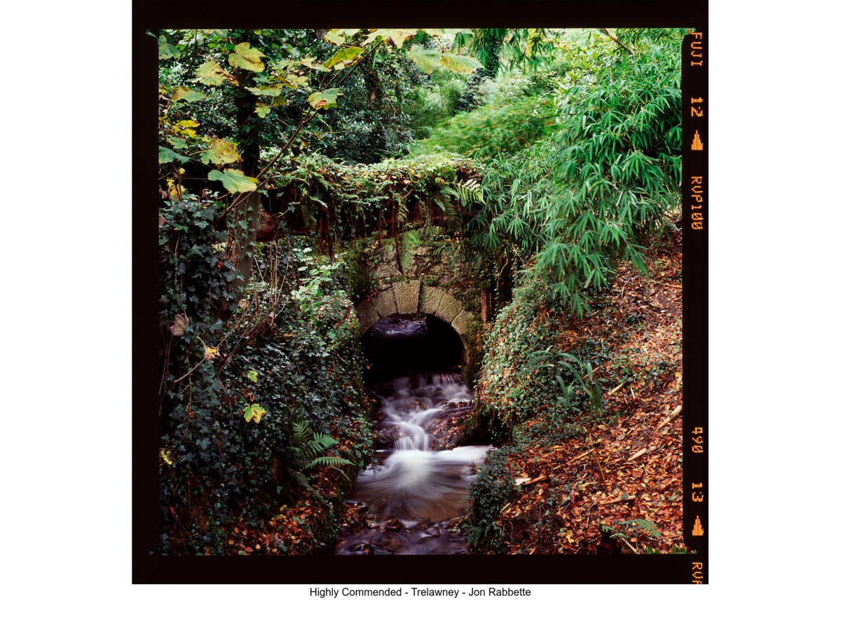 Highly Commended - Trelawney - Jon Rabbette