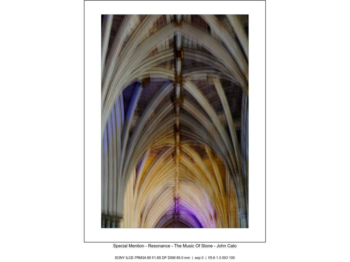 250202_123524-_A7R0422 adjusted